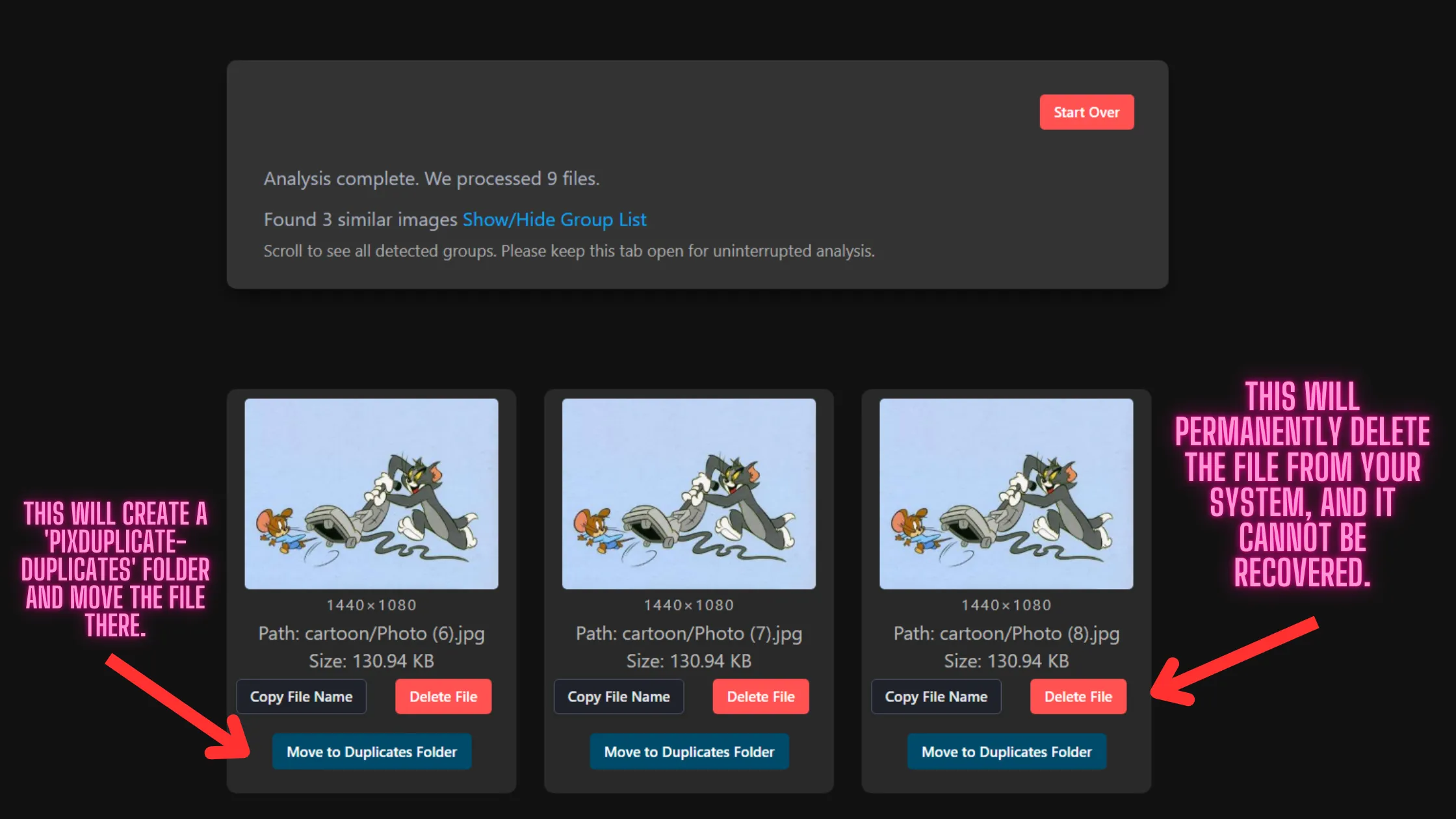 Results Screen for Found Duplicates