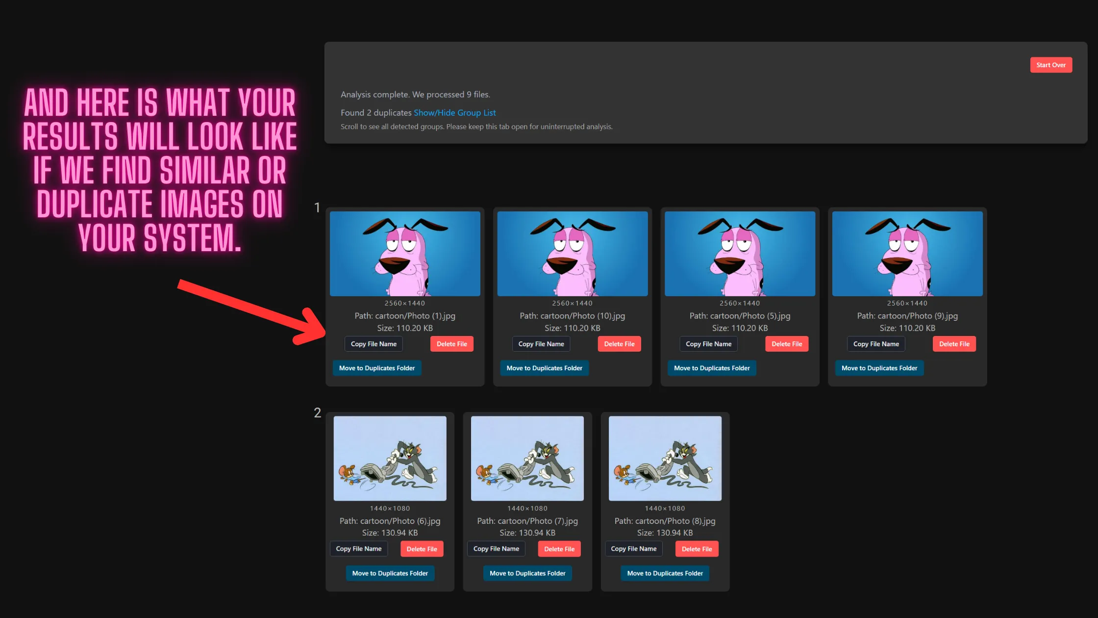 Results for All Found Duplicates