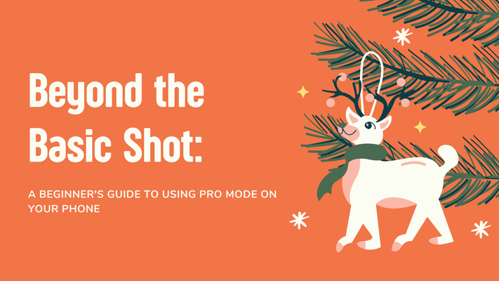 Beyond the Basic Shot: A Beginner's Guide to Using Pro Mode on Your Phone
