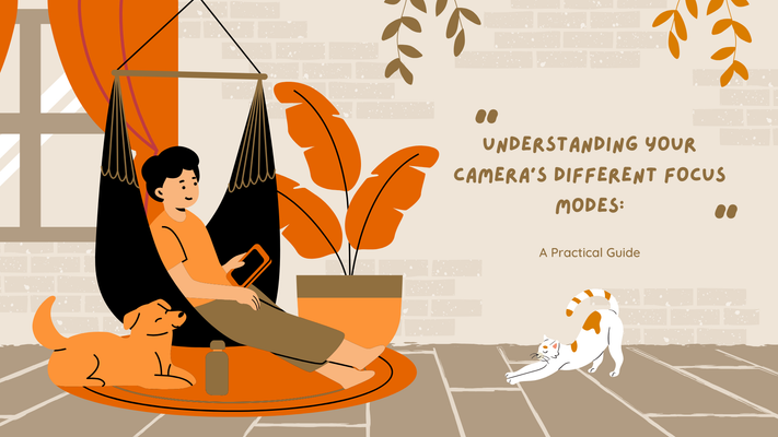 Understanding Your Camera's Different Focus Modes: A Practical Guide