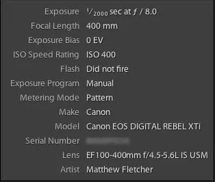 Visual comparison of metadata types showing EXIF, IPTC and XMP data