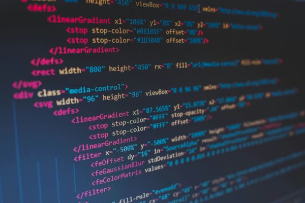 Understanding Metadata in Images: What You Need to Know