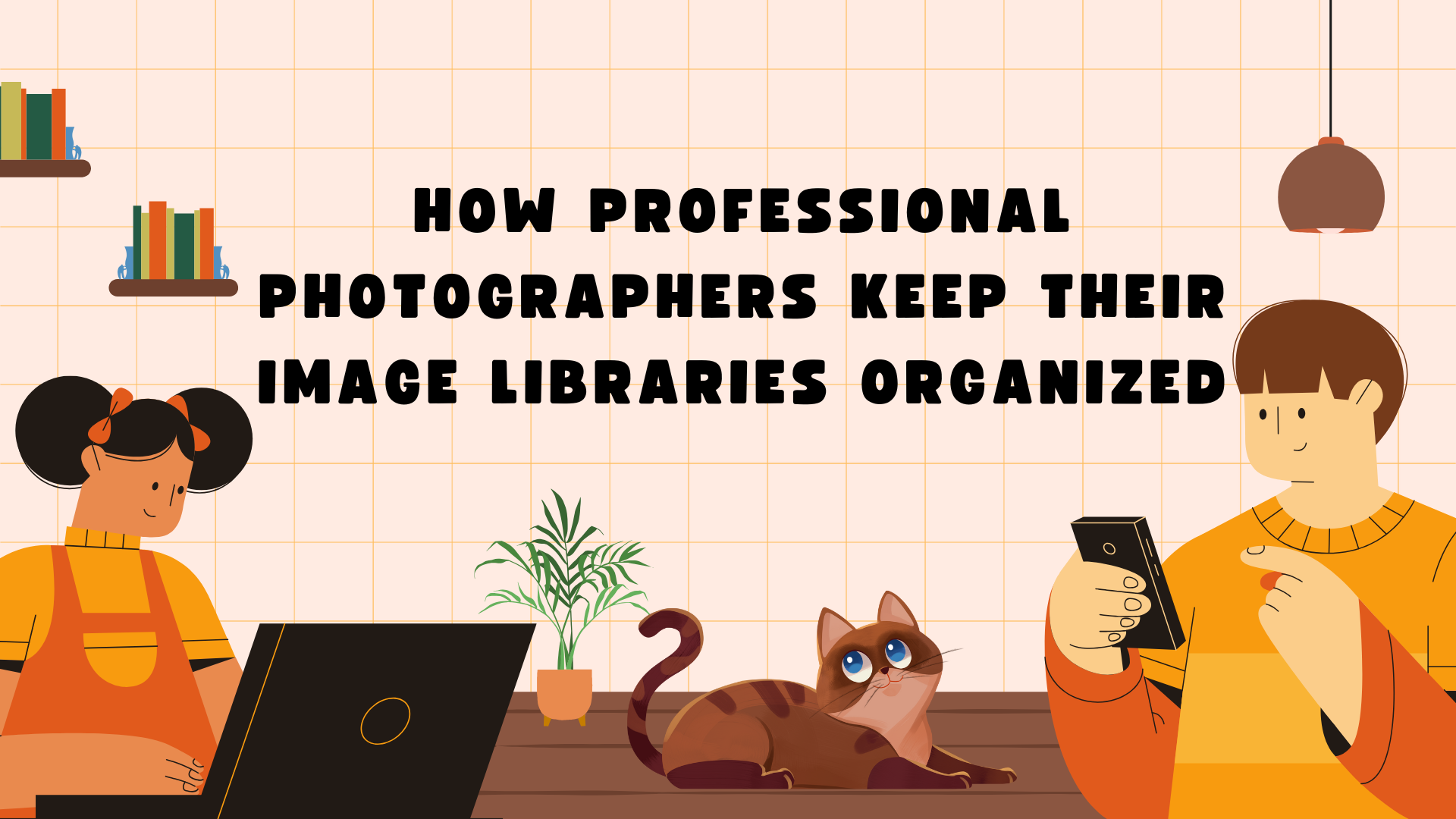 How Professional Photographers Keep Their Image Libraries Organized